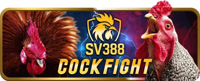 Phân tích kèo thể thao 7789bet